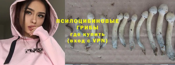 mdpv Пестово