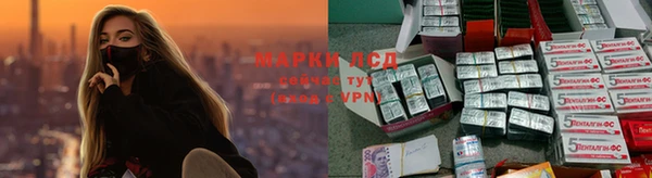 spice Армянск