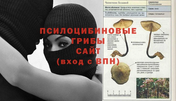 прущая мука Аркадак